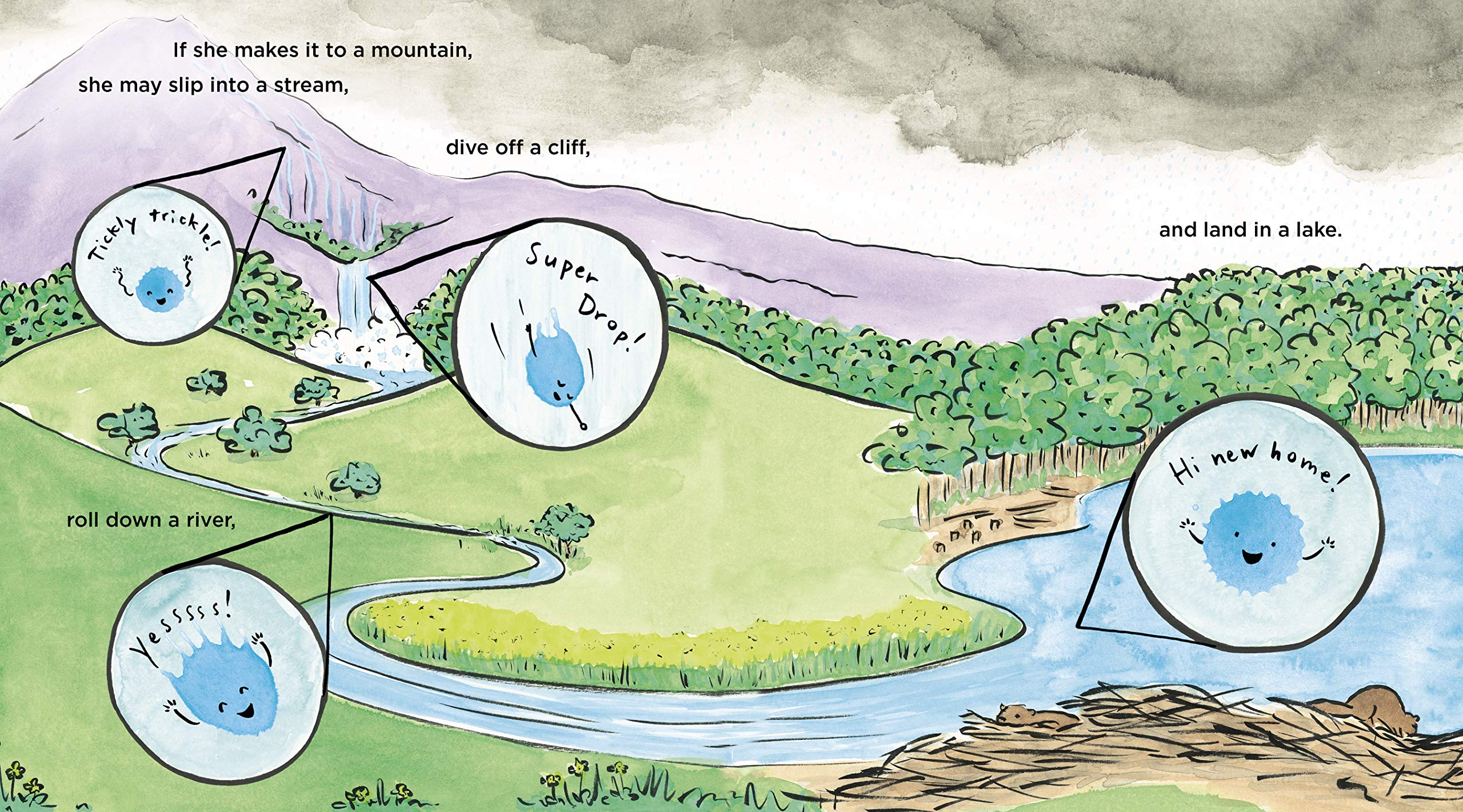 Drop An Adventure through the Water Cycle by Random House 5