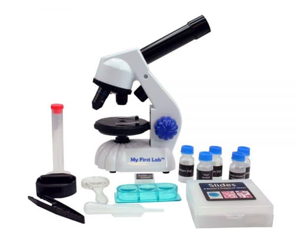 Duo Scope by C A Scientific