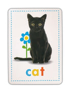 Early Learners Flashcards 50 First Words by Scholastic 3