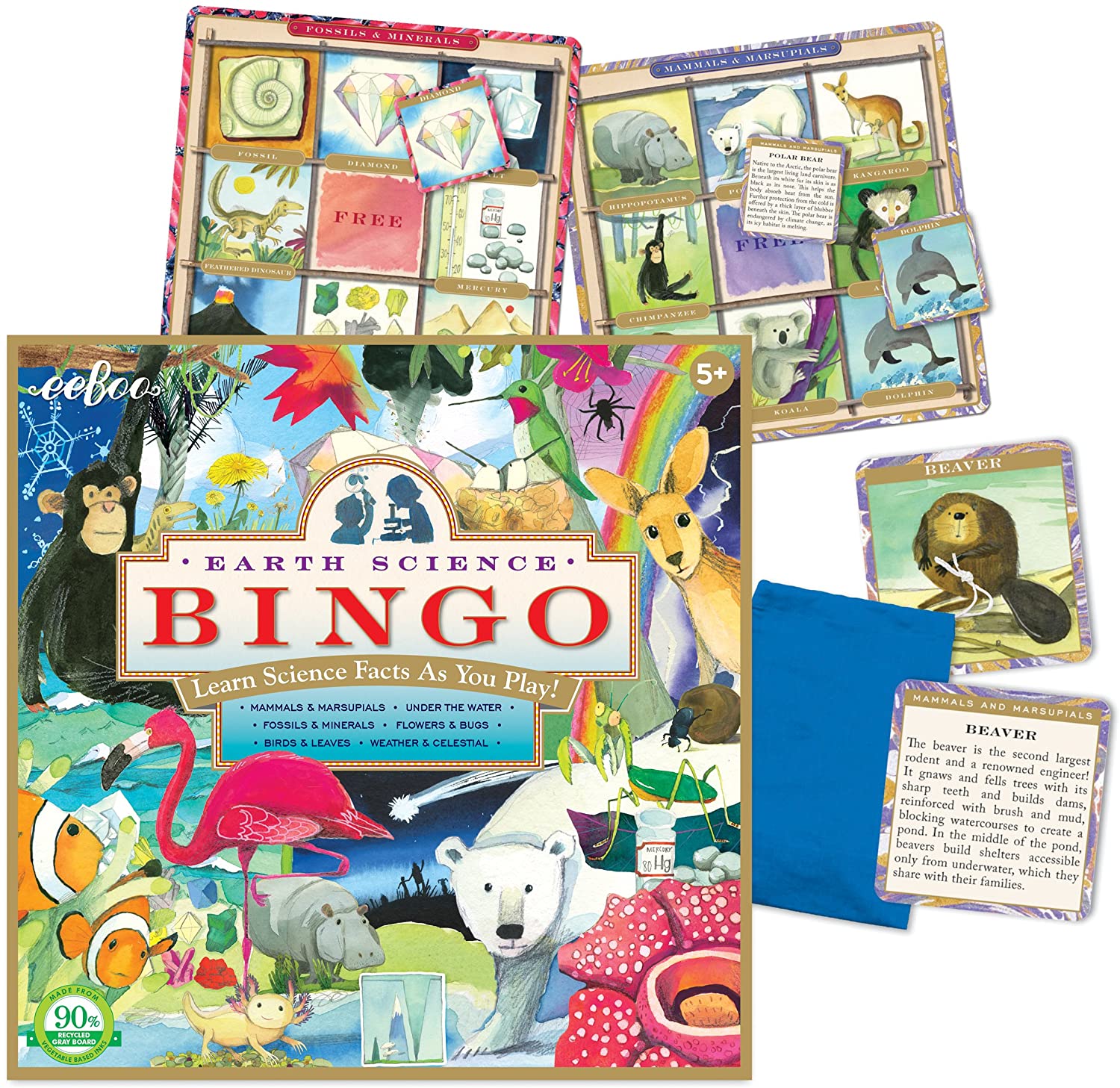 Earth Science Bingo by eeBoo 1