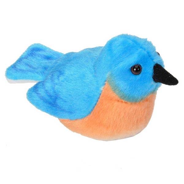 Eastern Bluebird 5 by Wild Republic