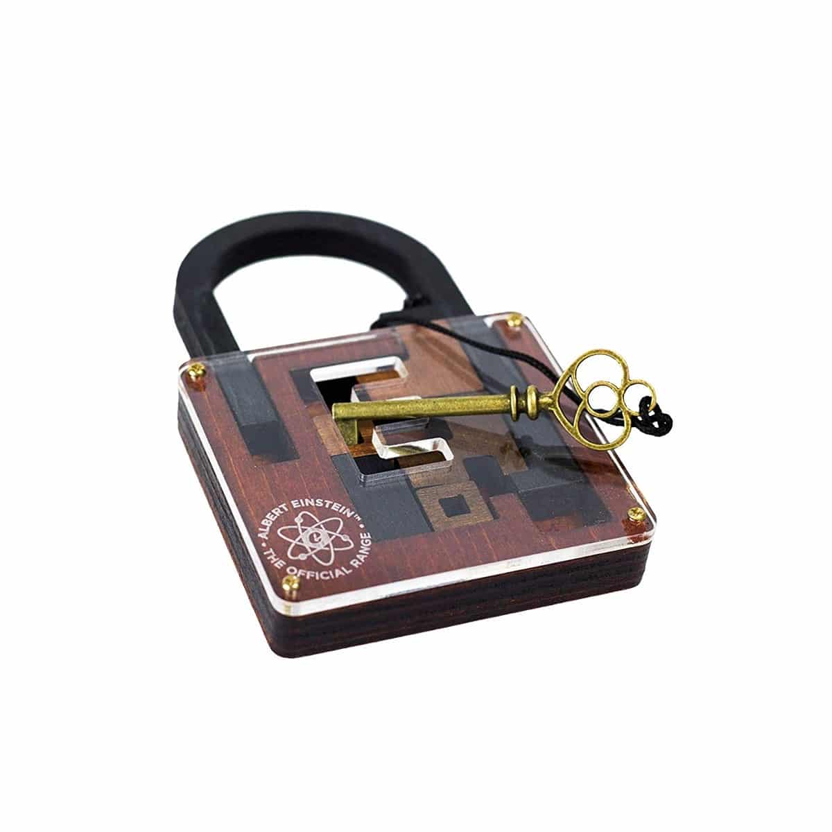 Einstein Collection Lock Puzzle by Professor Puzzle 2