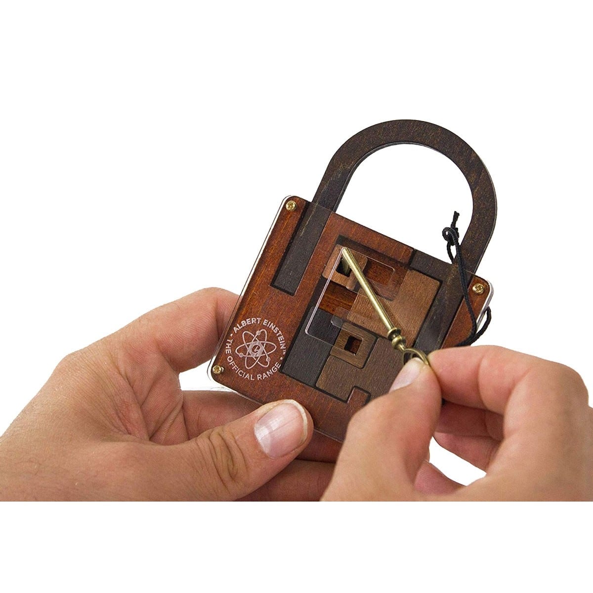 Einstein Collection Lock Puzzle by Professor Puzzle 3