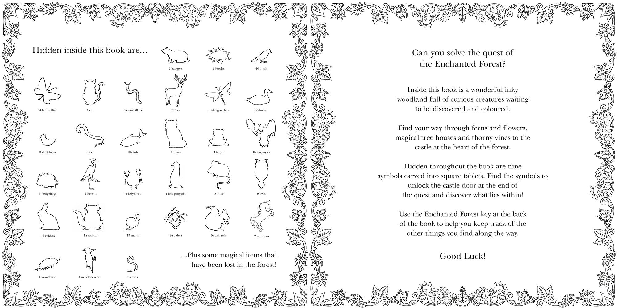 Enchanted Forest An Inky Quest and Coloring Book by Laurence King Publishg 2