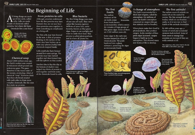 Encyclopedia of World History by Usborne 2