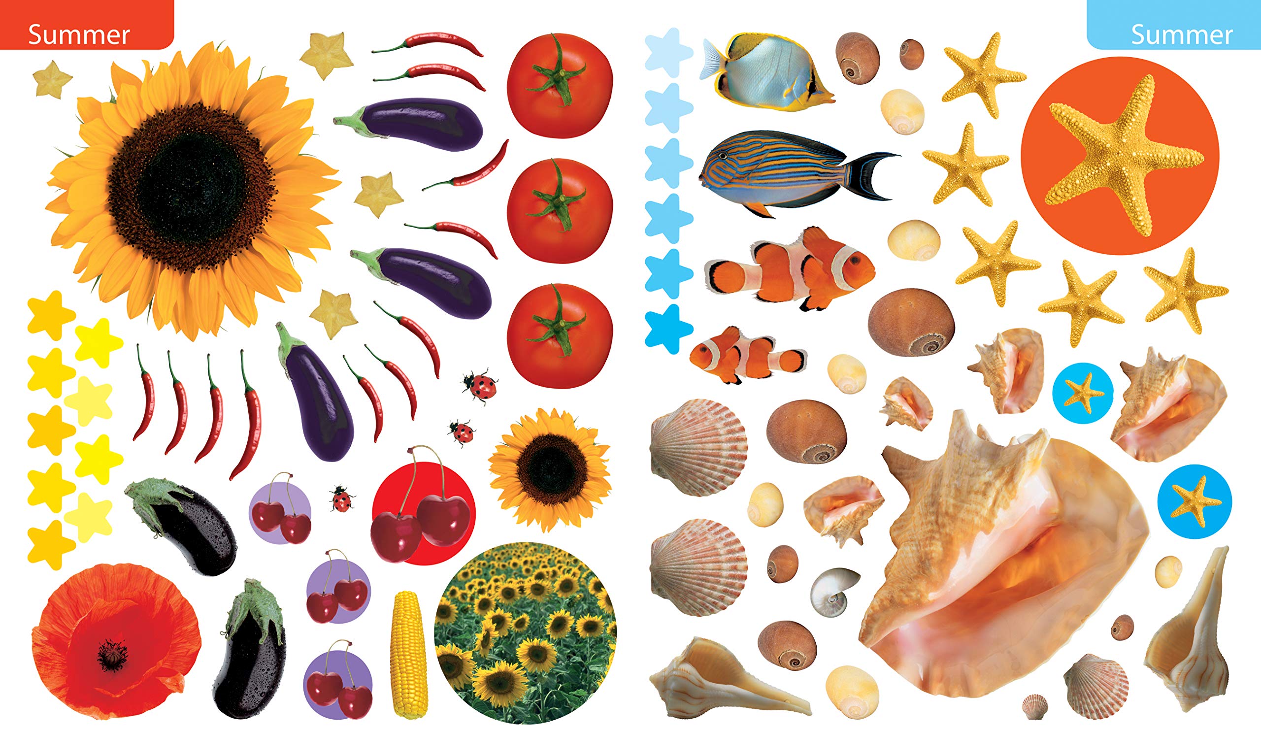 Eyelike Stickers Seasons by Workman 2