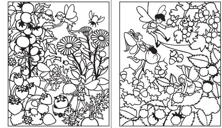 Fairy Gardens Magic Painting Book by Usborne 3