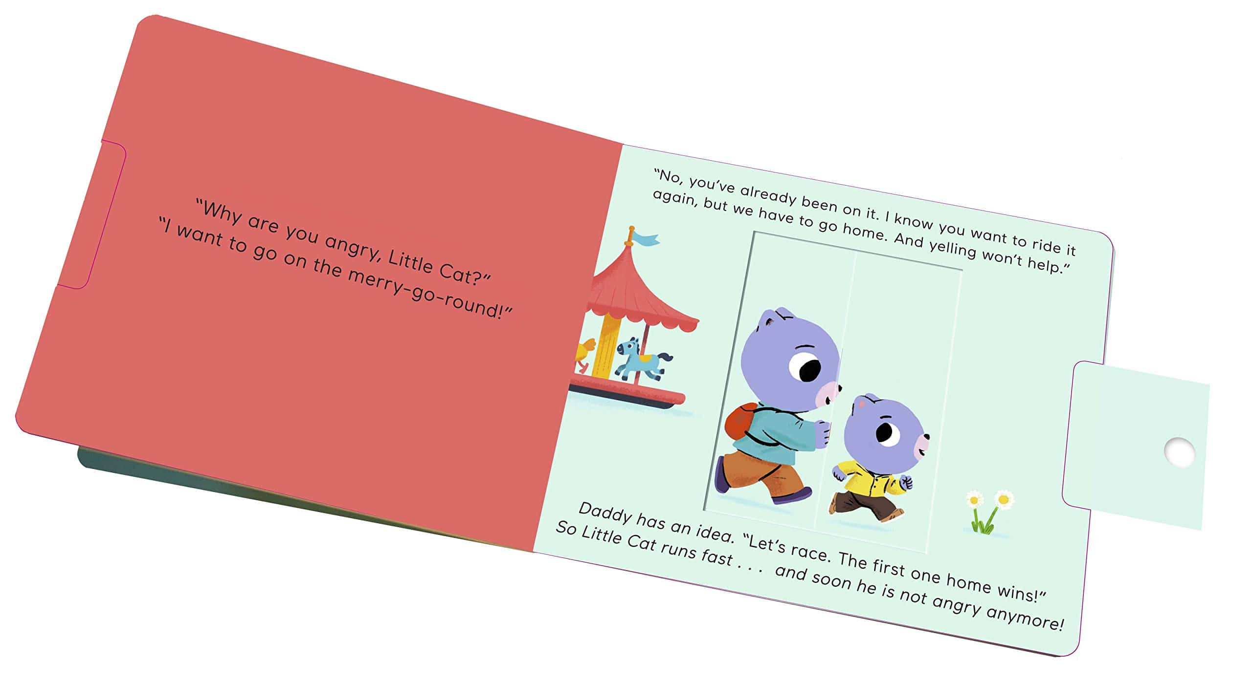 Feelings by Chronicle Books 4