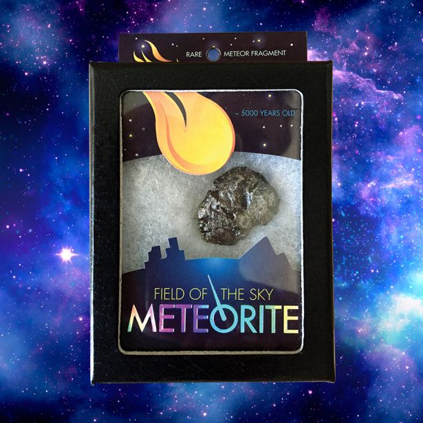 Field of the Sky Meteorite – A2Z Science & Toys