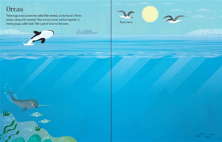 First Sticker Book Narwhals by Usborne 2