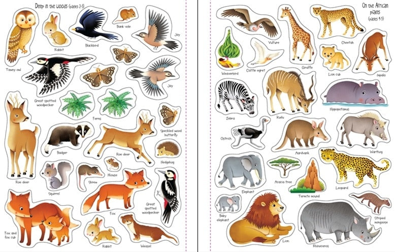 First Sticker Book Nature by Usborne 3