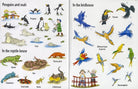 First Sticker Book Zoo by Usborne 4