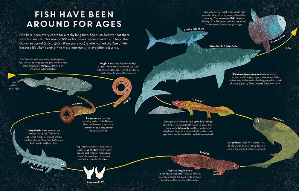 Fish Everywhere by Penguin Random House 1