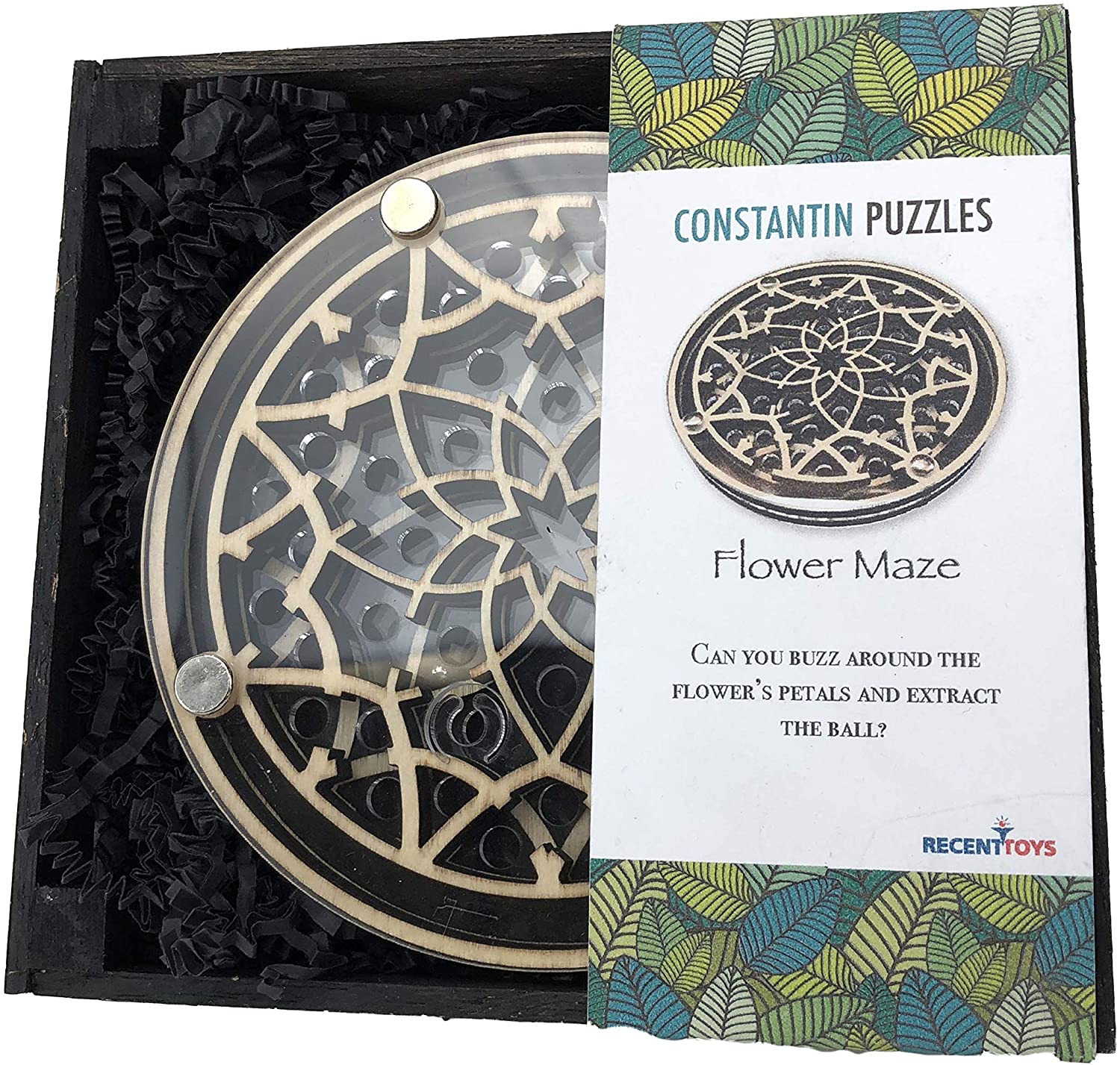Flower Maze Puzzle by Project Genius