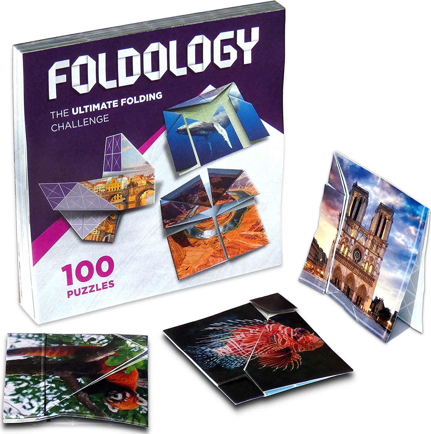 Foldology by