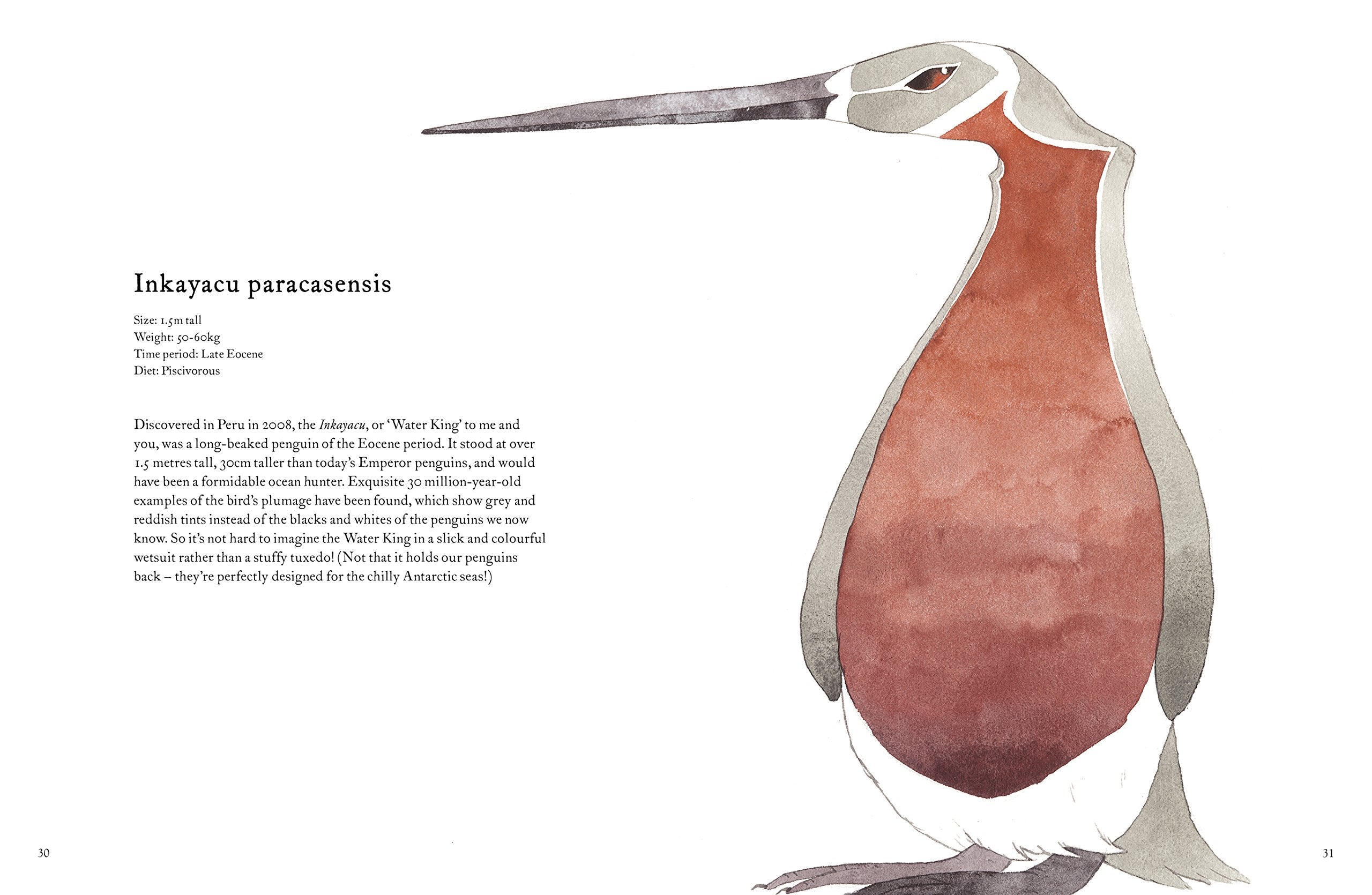 Forgotten Beasts Amazing creatures that once roamed the Earth by Penguin Random House 3