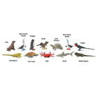 Galapagos TOOB by Safari 1