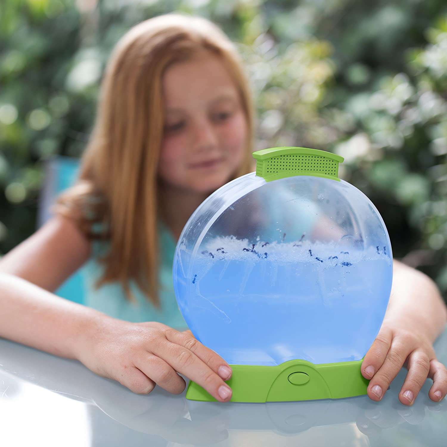 Geosafari Day NNight Ant Factory by Educational Insights 3