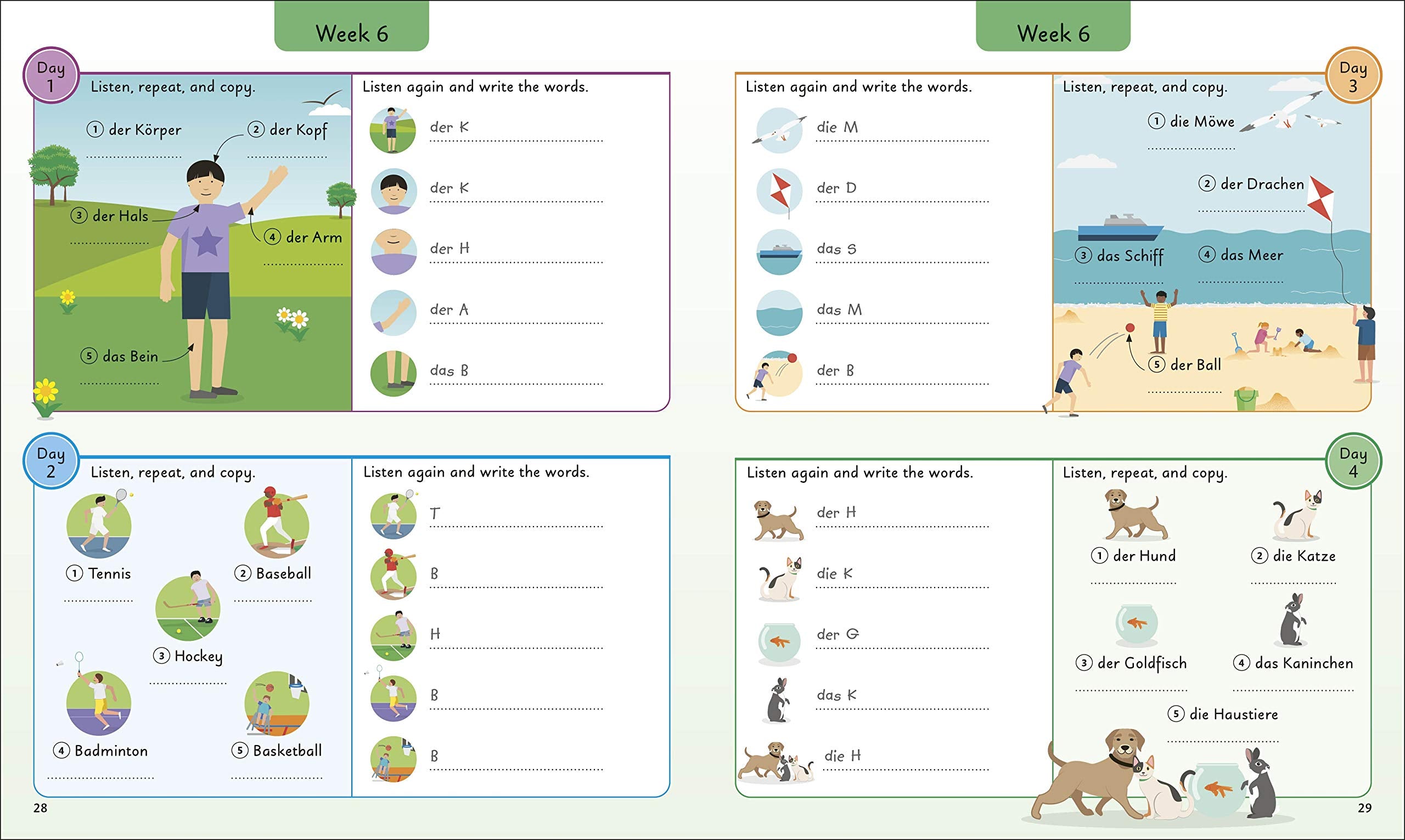 German for Everyone Junior 5 Words a Day by DK Publishing 3