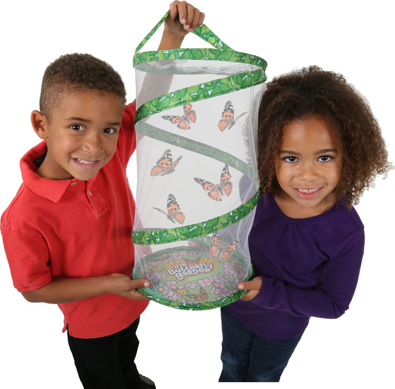 Giant Butterfly Garden with Voucher by Insect Lore 2