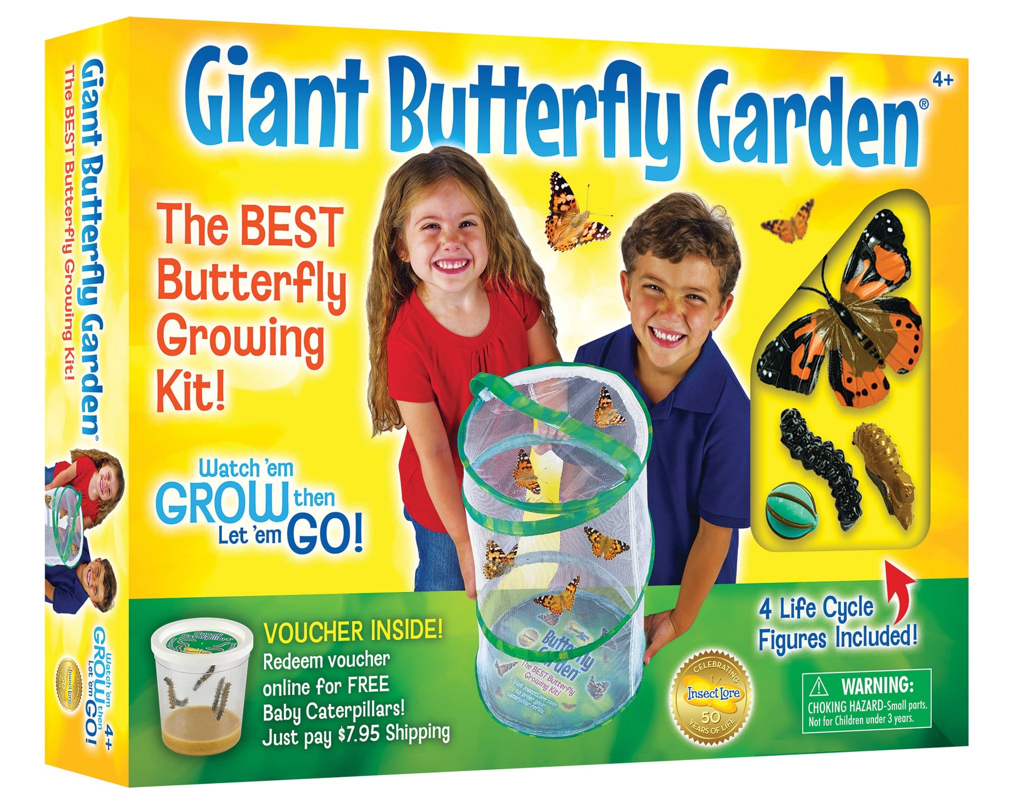Giant Butterfly Garden with Voucher by Insect Lore