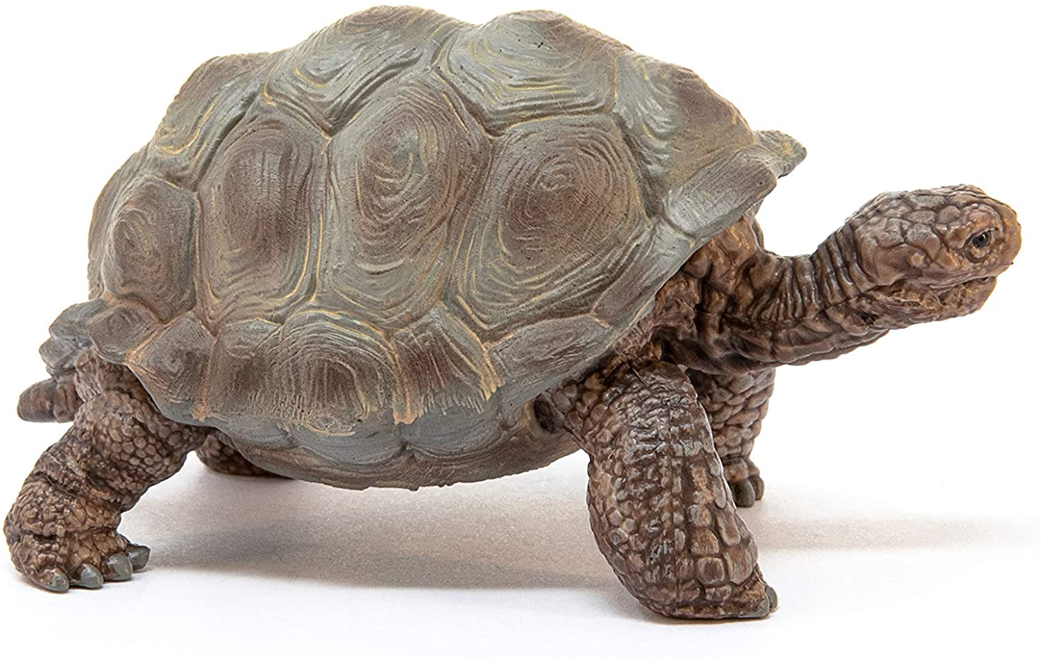 Giant Tortoise Figure by Schleich 3