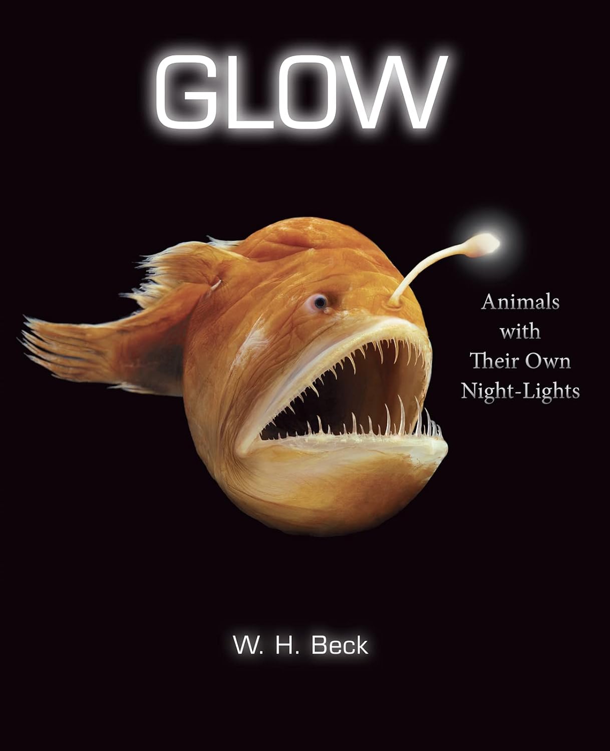 Glow: Animals with Their Own Night-Lights-by-Harper Collins