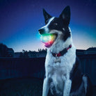 Glowstreak LED Ball for Dogs by Niteize