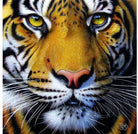 Golden Tiger Face Puzzle by Sunsout