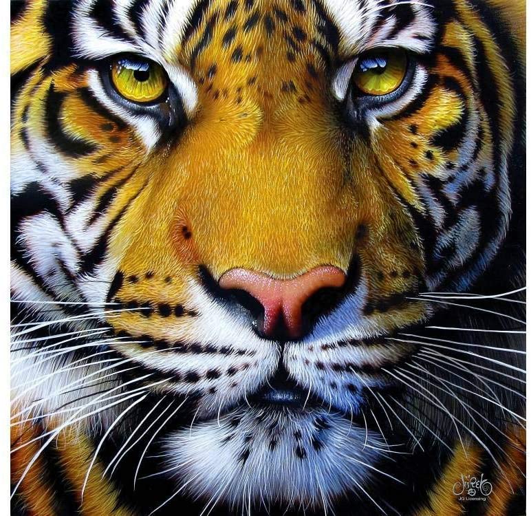 Golden Tiger Face Puzzle by Sunsout