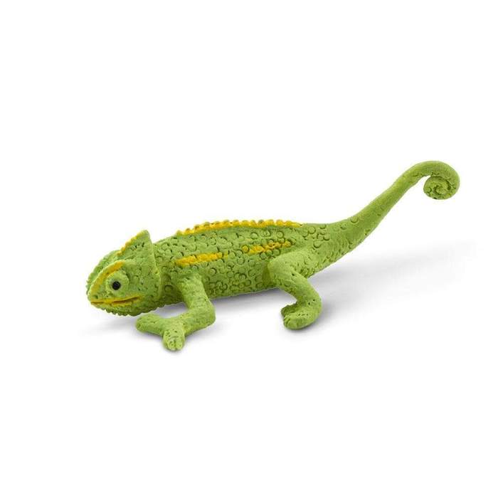 Good Luck Mini Chameleon – A2Z Science & Toys