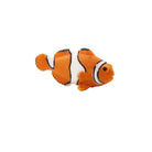 Good Luck Mini Clownfish by Safari