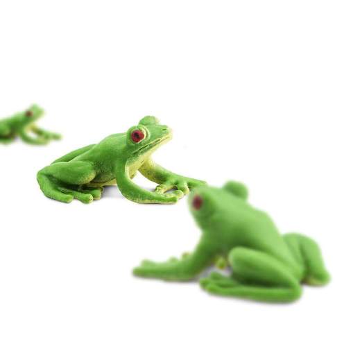 Good Luck Mini Frogs by Safari 2