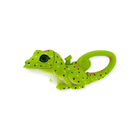 Green Lizard  Carabiner Flashlight-by-Sun Compnay