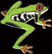 Green Tree Frog Zipper Pull by WM Spear Designs