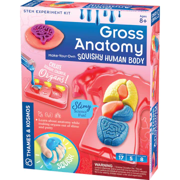 Gross Anatomy: Make-Your-Own Squishy Human Body-by-Thames & Kosmos