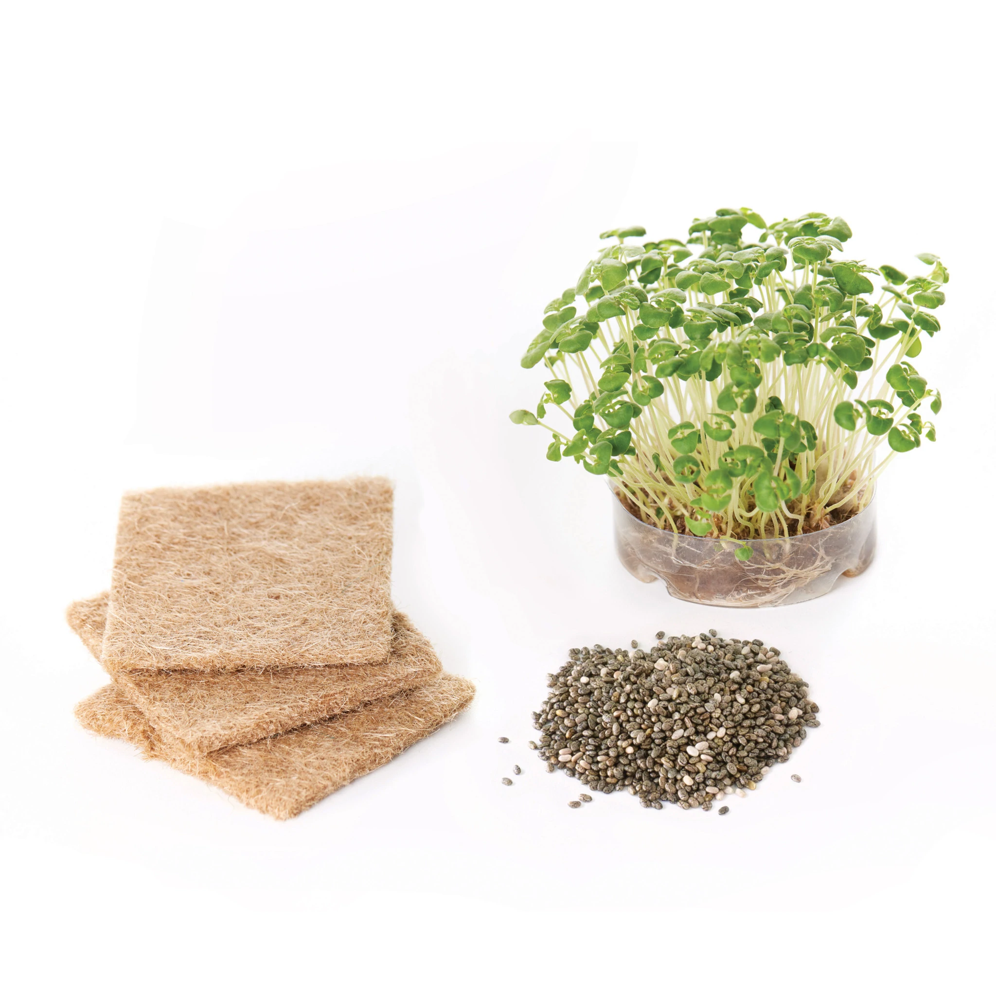 Grow and Build Tree House by Creativity for Kids 5