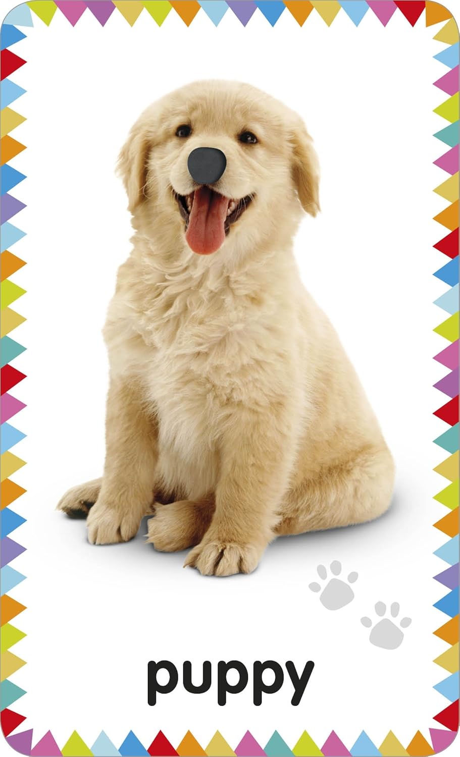 My First Touch and Feel Picture Cards: Animals by DK Publishing