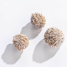 Gypsum Desert Rose by GeoCentral