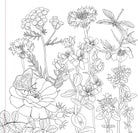 Wildflowers Adult Coloring Book by Peter Pauper Press