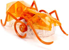 HEXBUG Micro Ant by Hexbug 1