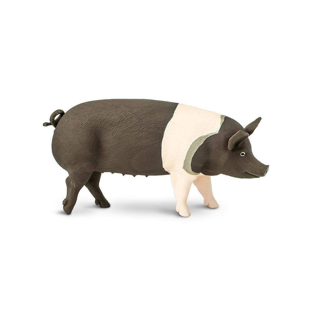 Hampshire Pig by Safari