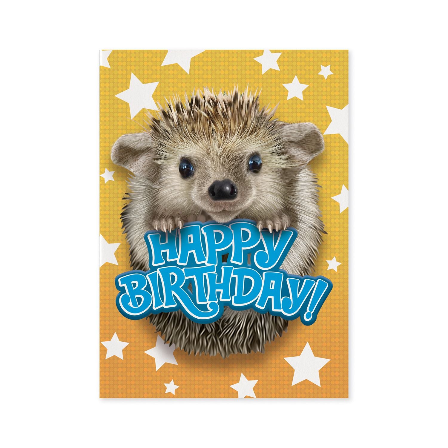 Hedgehog Birthday Card by Peaceable Kingdom