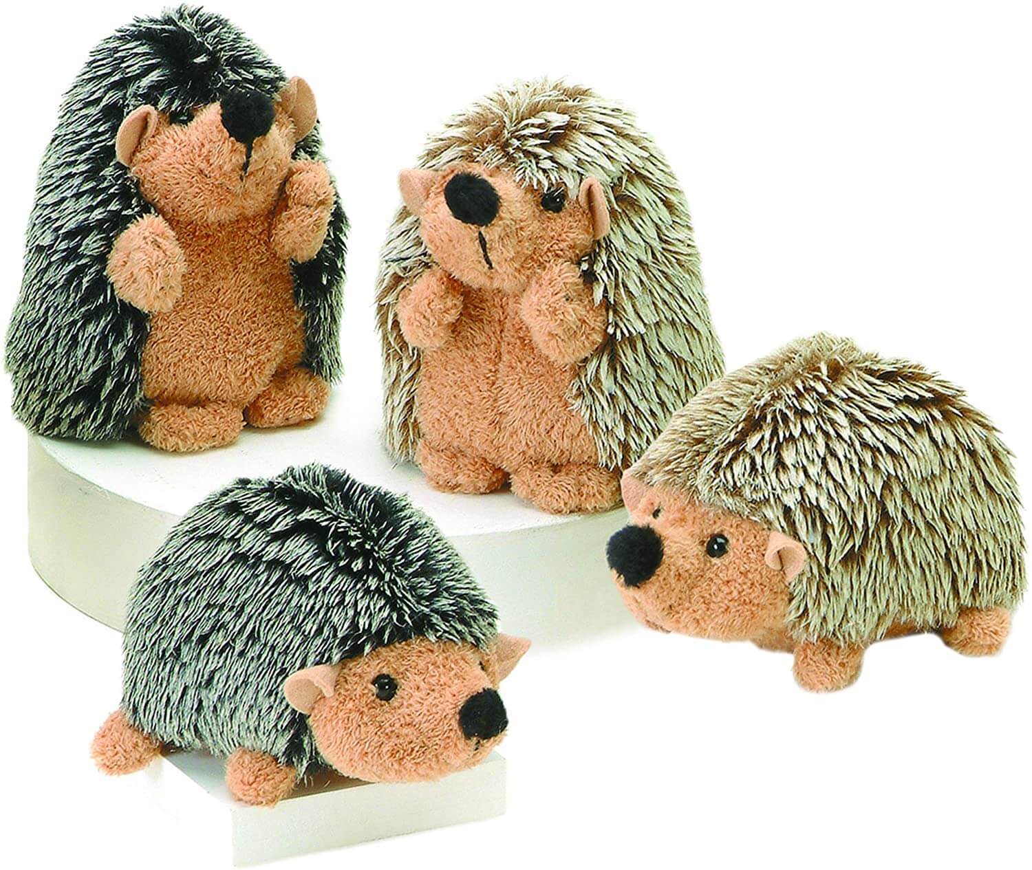 Hedgehog Herzog 4 by Aurora