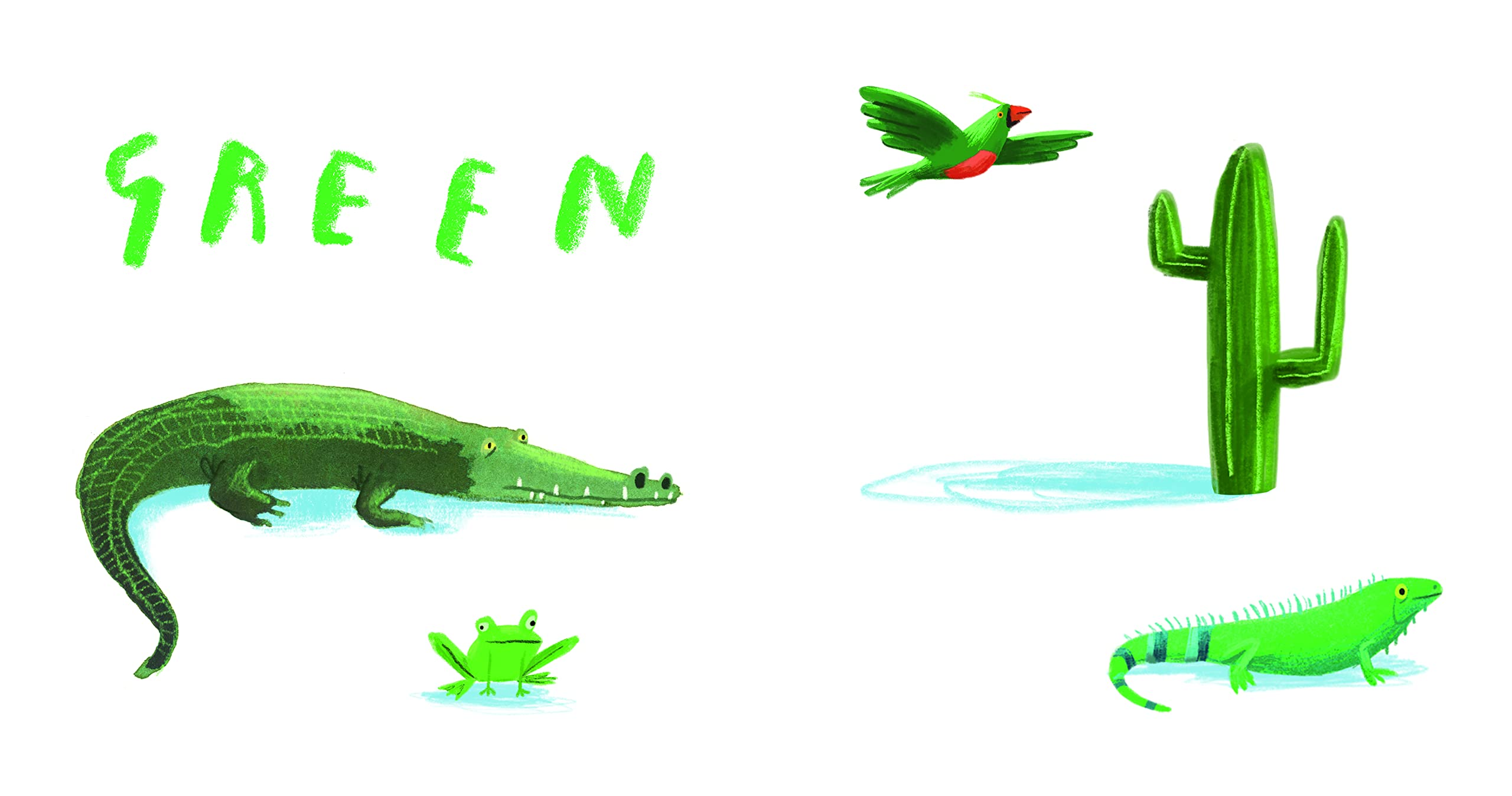 Here We Are Book of Colors by Penguin Random House 3