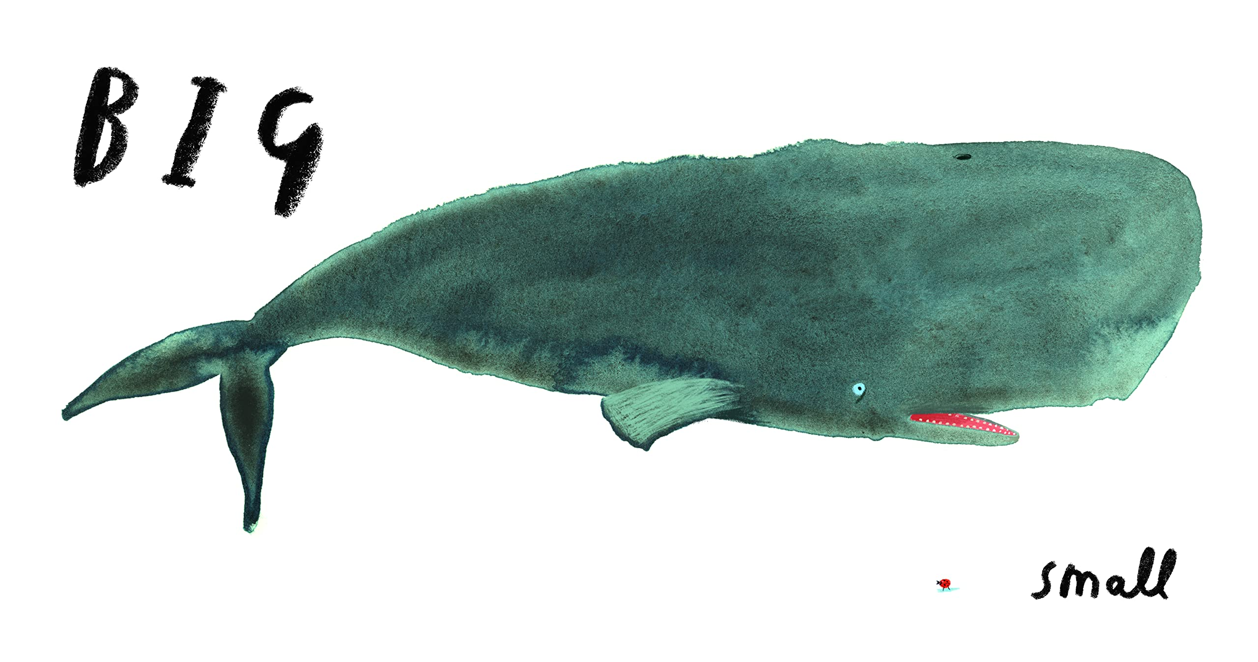 Here We Are Book of Opposites by Penguin Random House 1