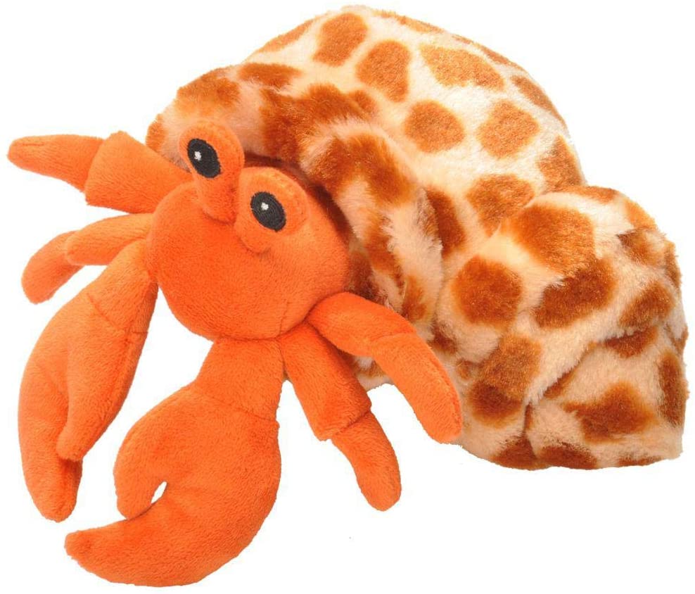 Hermit Crab 7 by Wild Republic