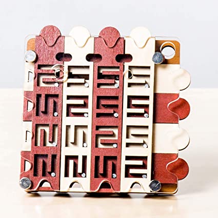 Hidden Corridor Puzzle by Project Genius 1