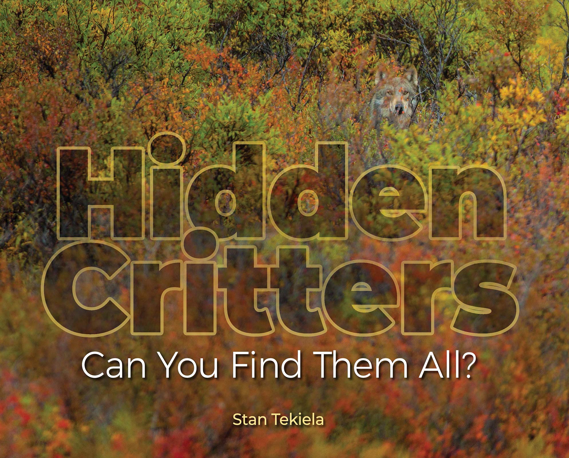 Hidden Critters Can You Find Them All by Adventure Keen