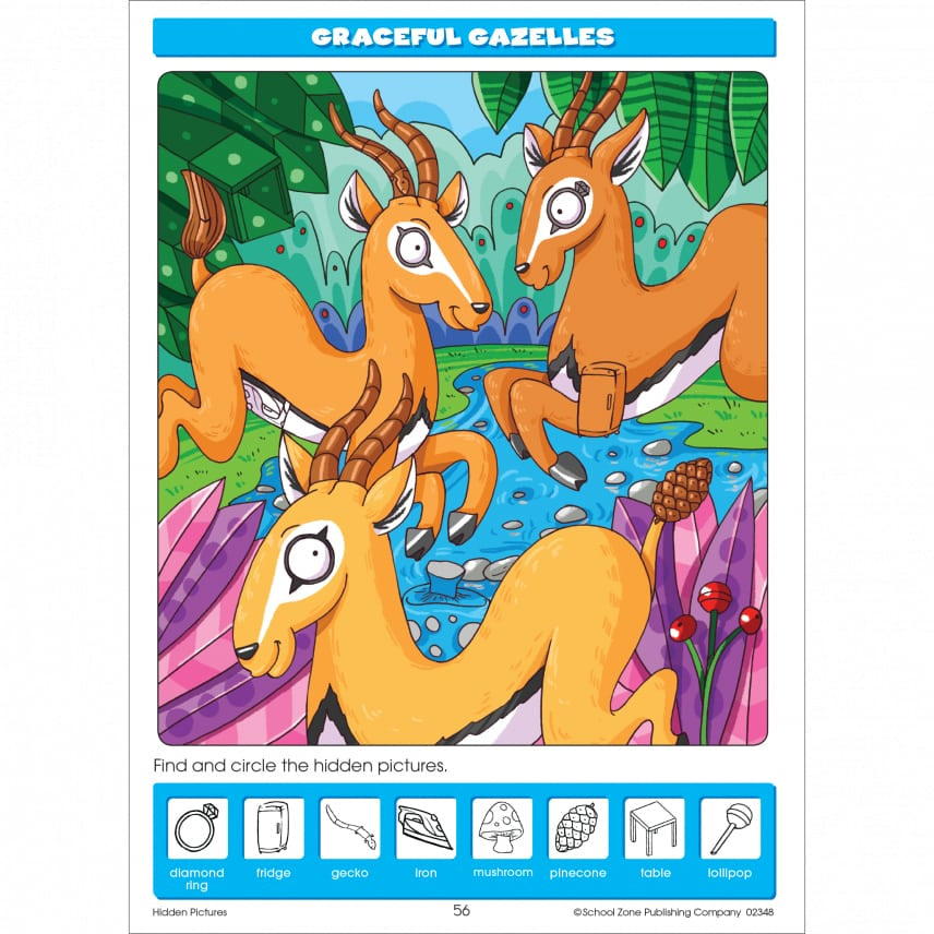 Hidden Pictures Activity Workbook by School Zone 3
